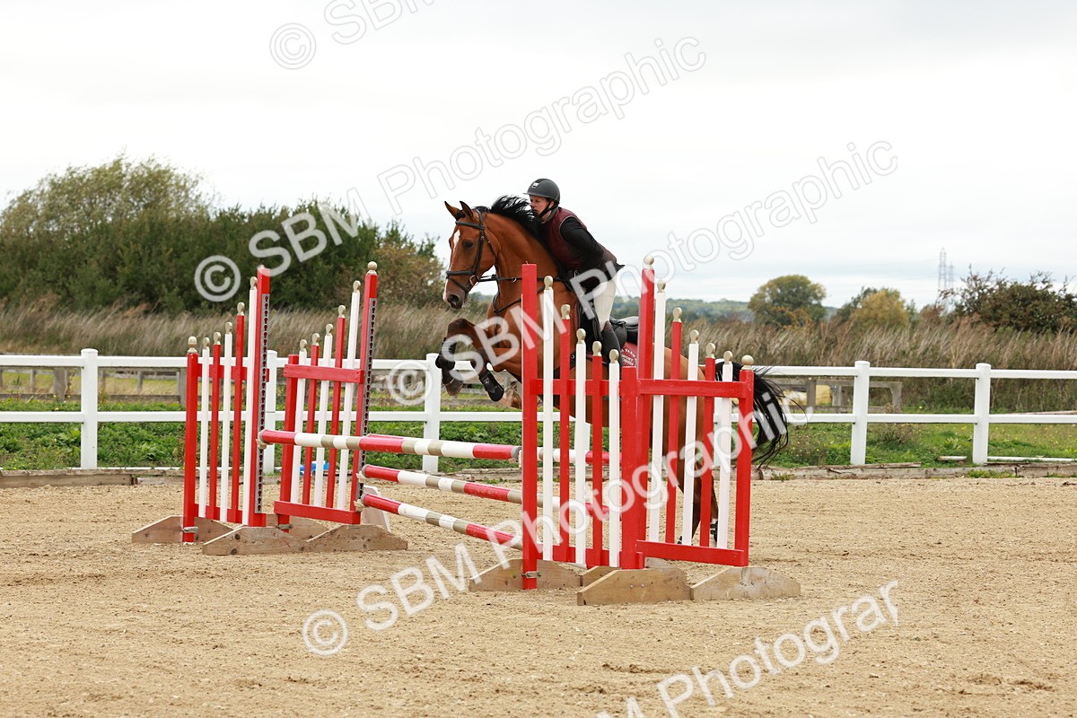1I0A6748 - Class 2 - Senior British Novice