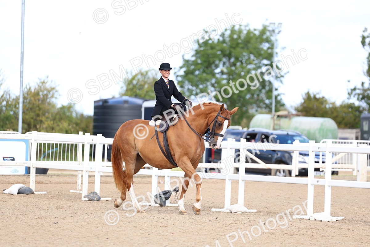 SBM_11182 - Class 306 - Ridden Foreign Breeds - Part Bred