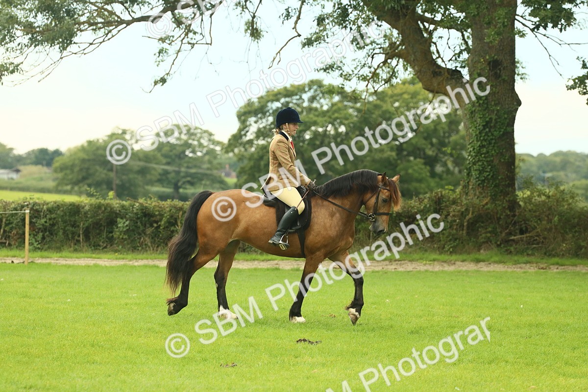 SBM_71822 - S60 - Mountain & Moorland Ridden Large Breeds
