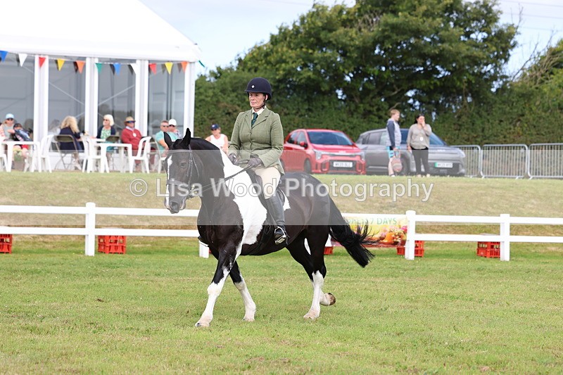 3E7A0328 - Class 6: Rising Star Maxi Cobs