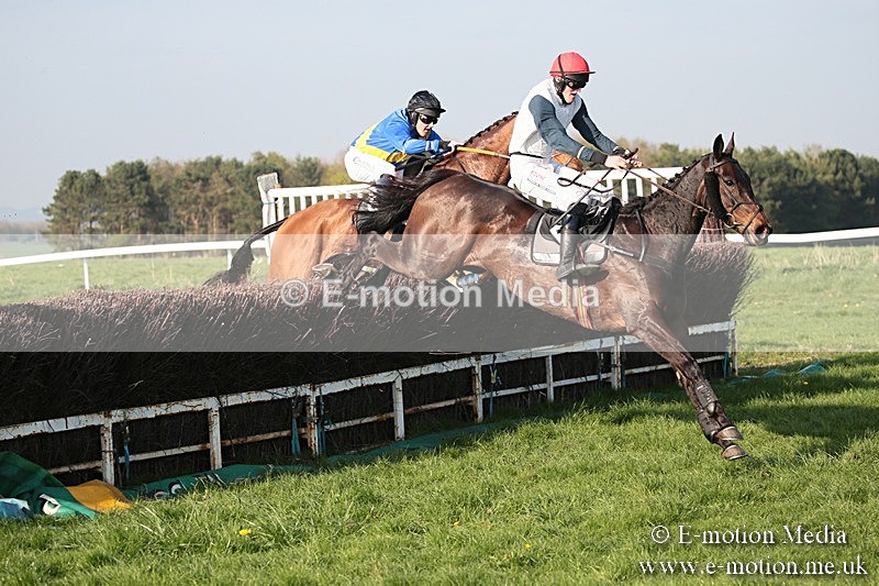 PtP 210418 638 - South & West Wilts Point-to-Point Larkhill 21/04/18