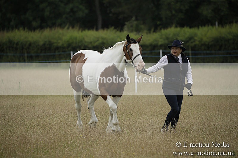 B230619-0291 - Bourne Valley Riding Club Summer Show 23/06/19