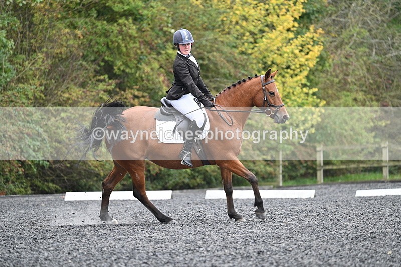 WJ7_3641 - Time 11:04 to 11:38