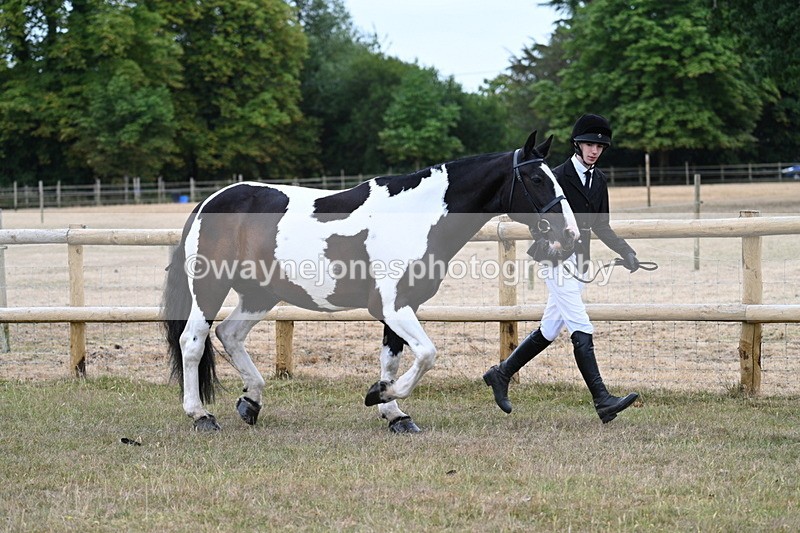 WJ7_8838 - Class 4a Prettiest Mare 14.2hh and over