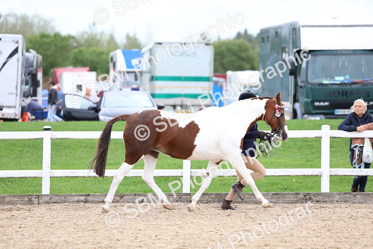 SBM_05891 - Class 29 - IH Veteran Pony