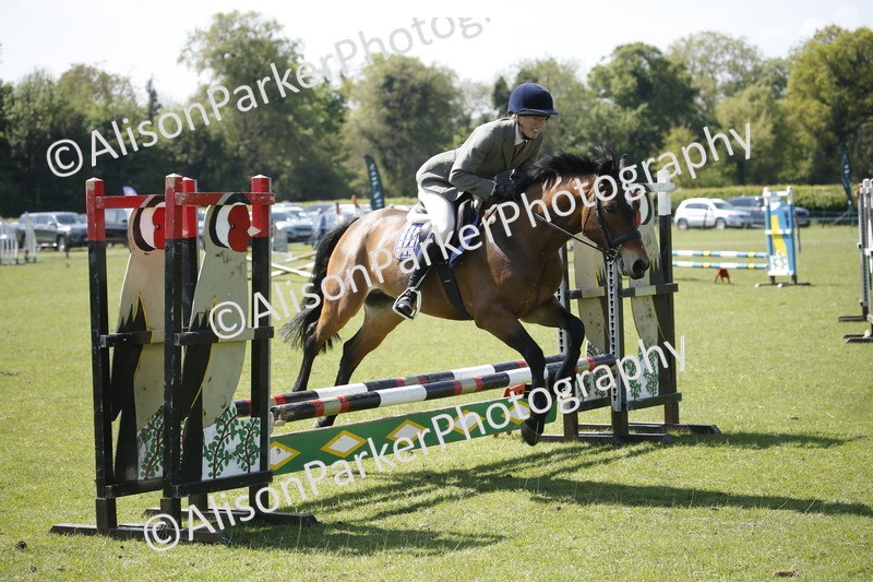 20250427-2278 - Class 13 - Novice Jumping 60cm