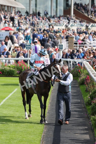 yr18082021r4-32 - Race 4 3.35pm Juddmonte International Stakes (British Champion Series race)