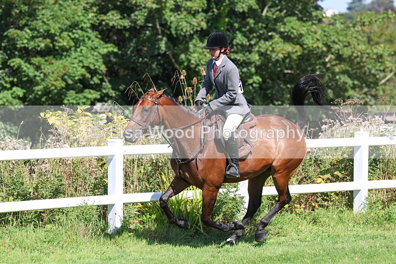 3E7A8429 - Class 4: Novice working Hunter