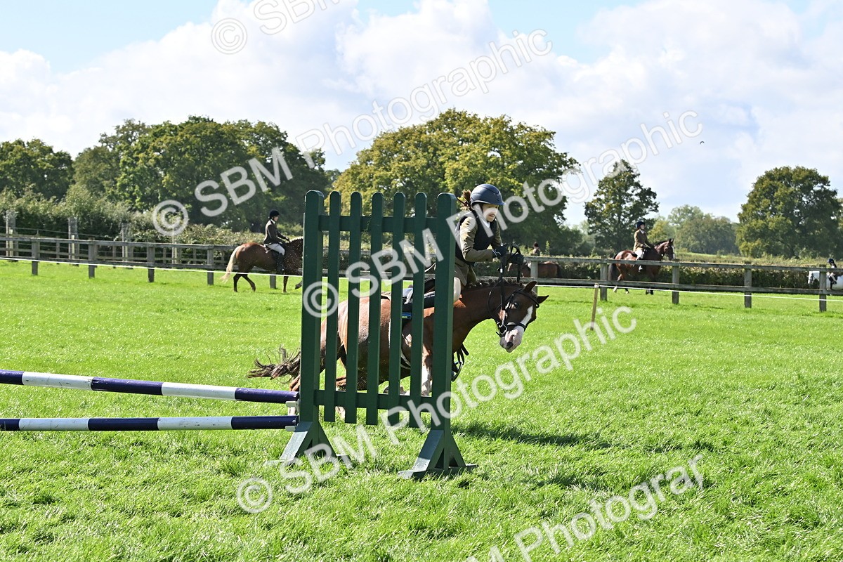 SBM_44531 - S13 - Pony Club Pony