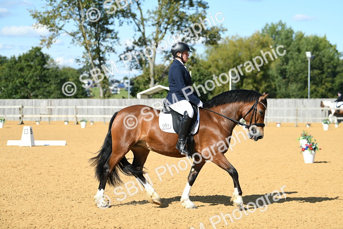 SBM_25010 - D13 - Grand Tour Championship - Prelim 12