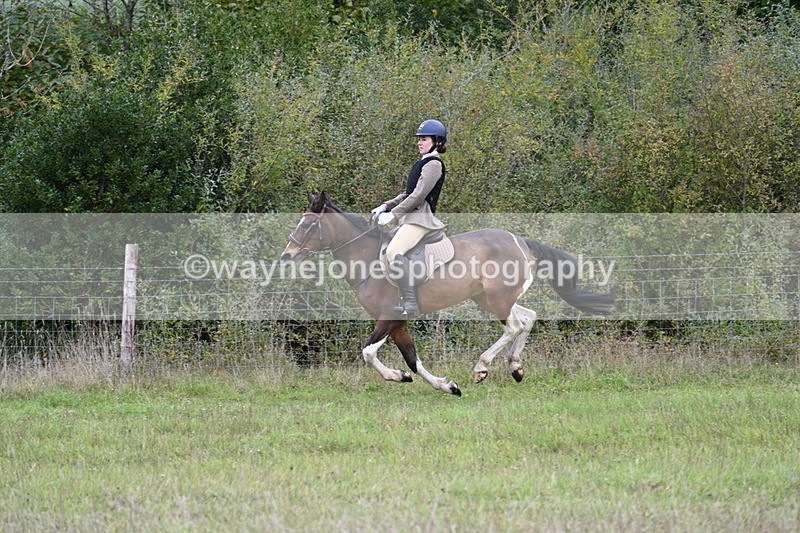 WJ7_3971 - Camera 1 Line 1