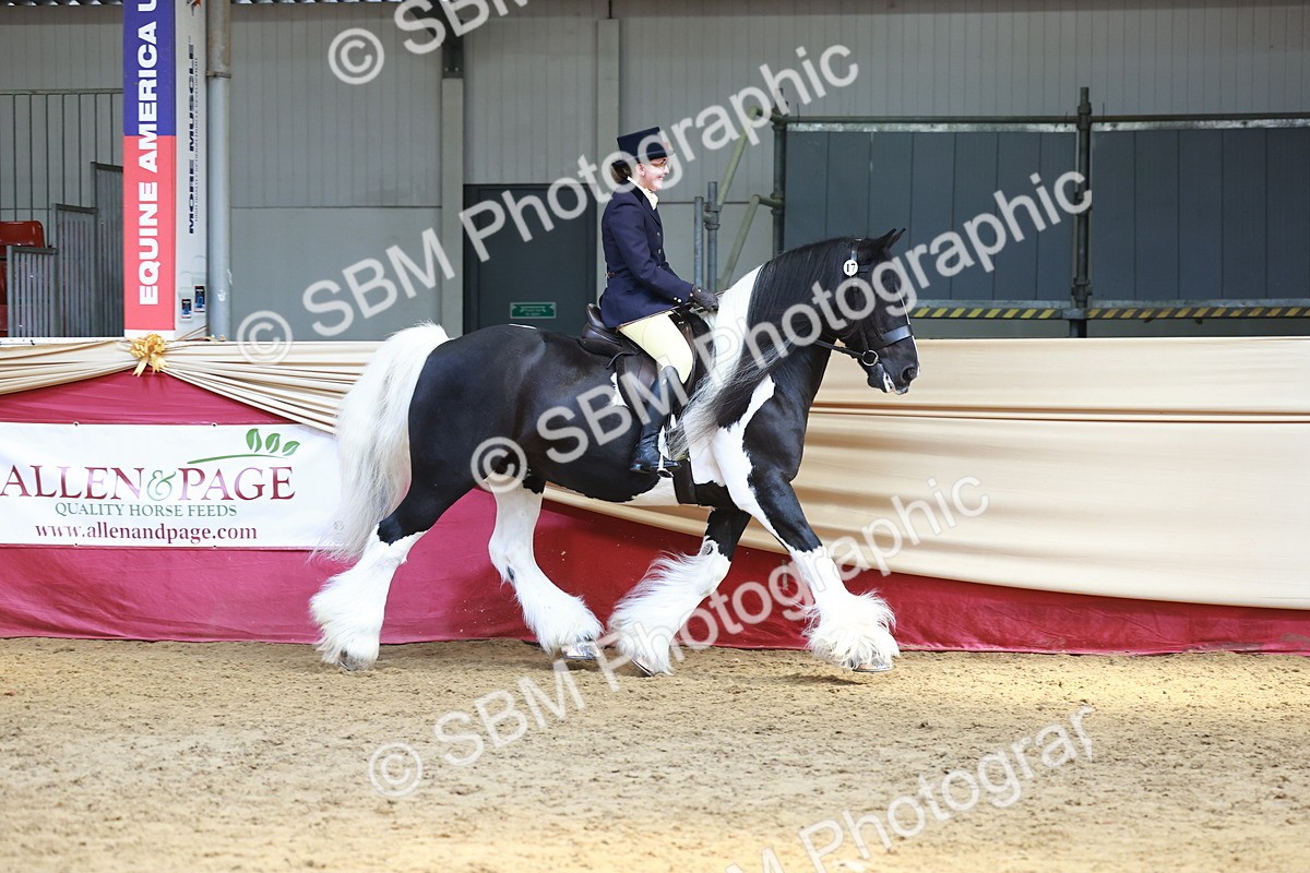 SBM_23301 - class 906 - Supreme Final - Ridden Pre Vet