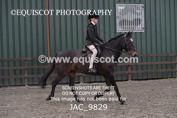 JAC_9829 - CLASS 2 Novice Working Hunter (0.60m - 0.70m)