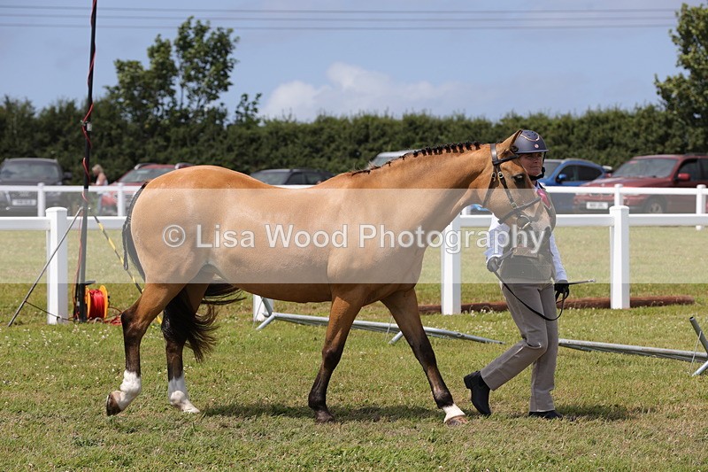 1X9A4887 - Class 35: Veteran In Hand