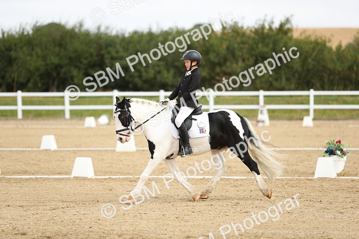 SBM_016337 - Class 13 - Novice 23 - 11.25-12.35