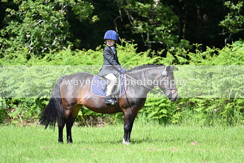 WJ7_1320 - Class 11 Condition & Turnout