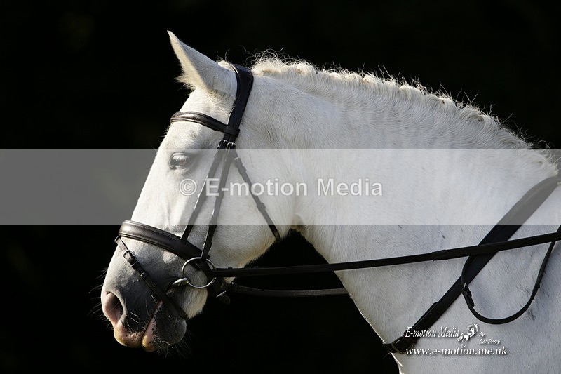 BVRC 120921 76 - Bourne Valley Riding Club UA Dressage & Show Jumping 12/09/21