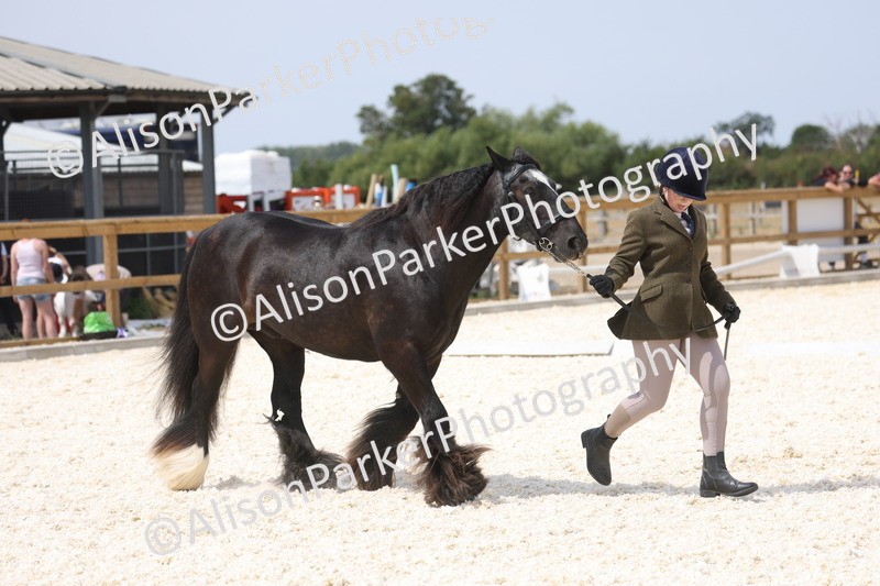 20260802-1522 - Class 16 - Best Horse or Pony