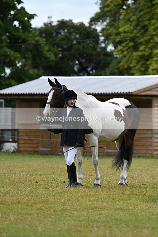 WJ7_6311 - Class 4a Prettiest Mare over 14hh