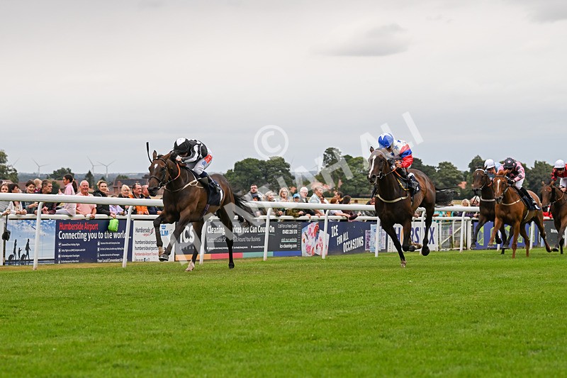 150824-Race 5-Pons Aelius-8302 - Race 5