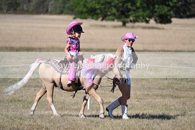 WJ7_2799 - Class 45 Fancy Dress (My Fav)