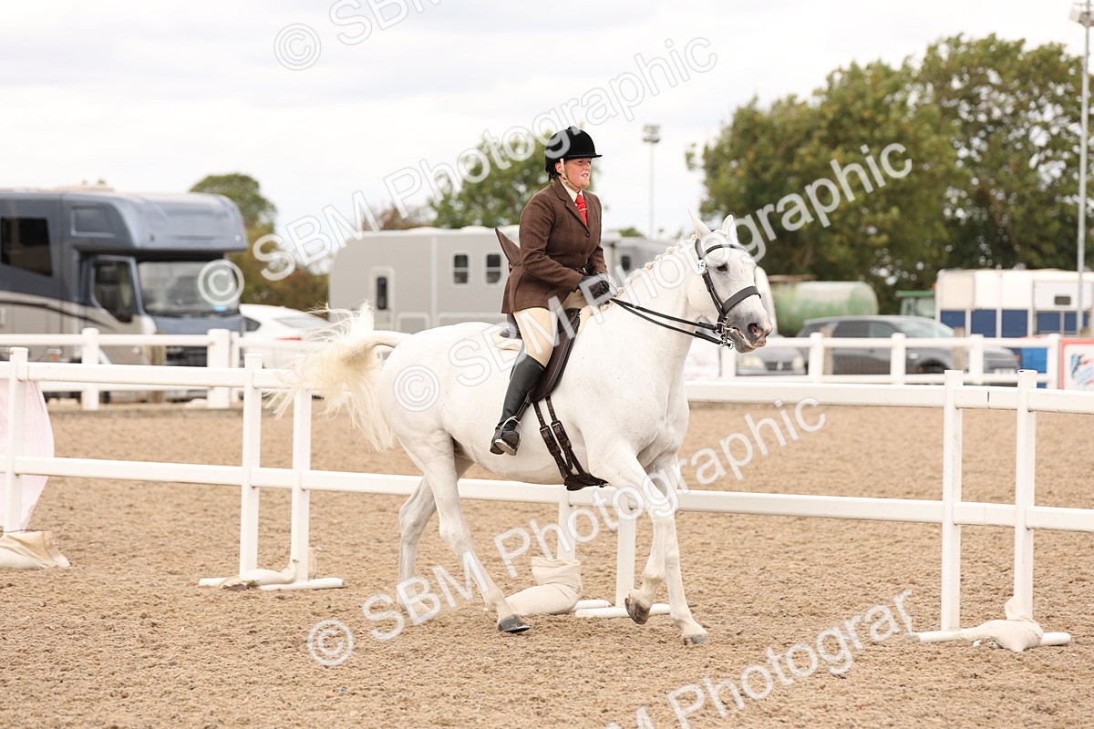 SBM_16489 - Class 212 - Ridden Hunter - Small