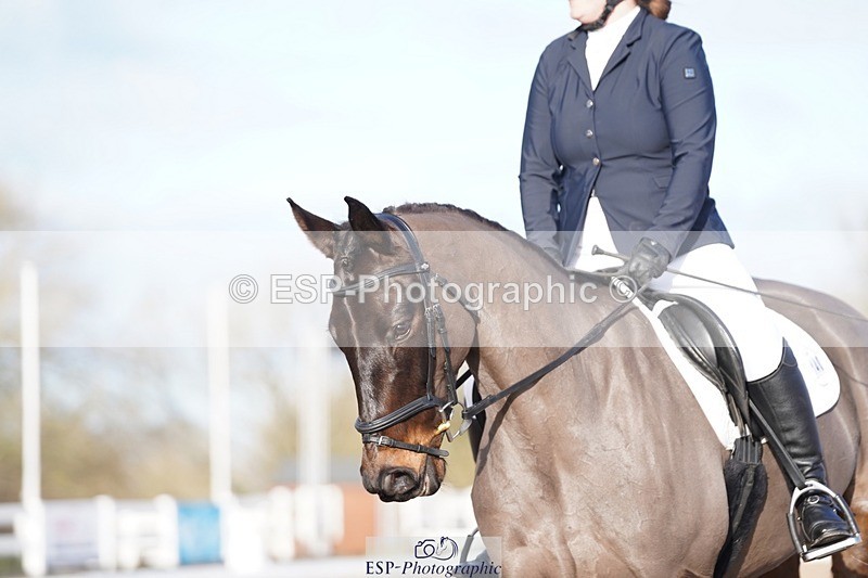 241214-124156-00489 - 140-Samantha.Henderson-Rich.Tricks.Otis