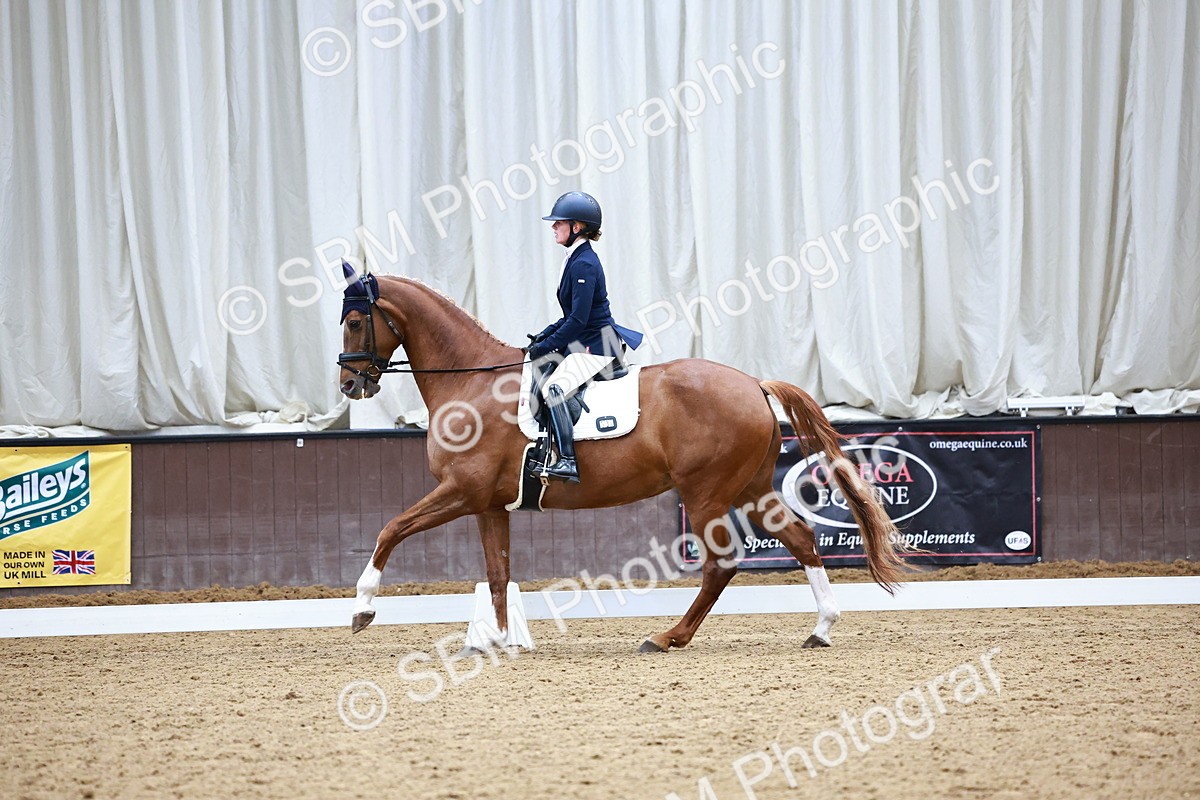 0B8A0571 - Class 4 - Novice 4