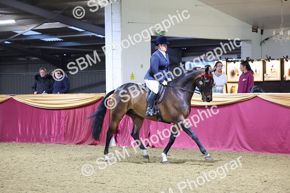 0B8A4287 - Class 108Ridden Retired Racehorse- Final Judging