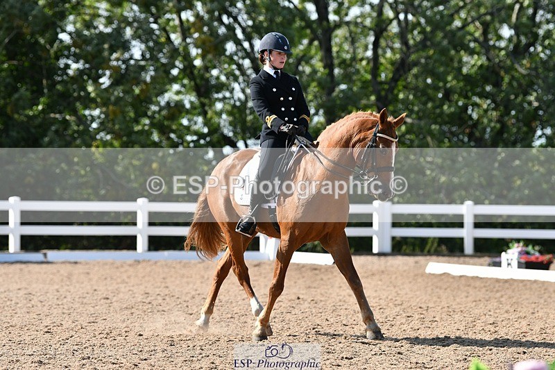 250906-154853-04439 - 122-India.JohnGrayswood.Orlando