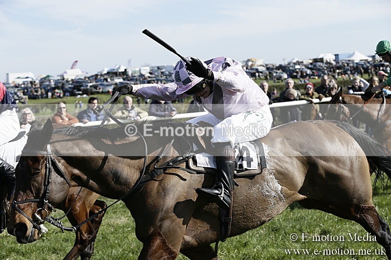 PtP 250317 233 - V.W.H. Hunt Point-to-Point Siddington 25/03/17