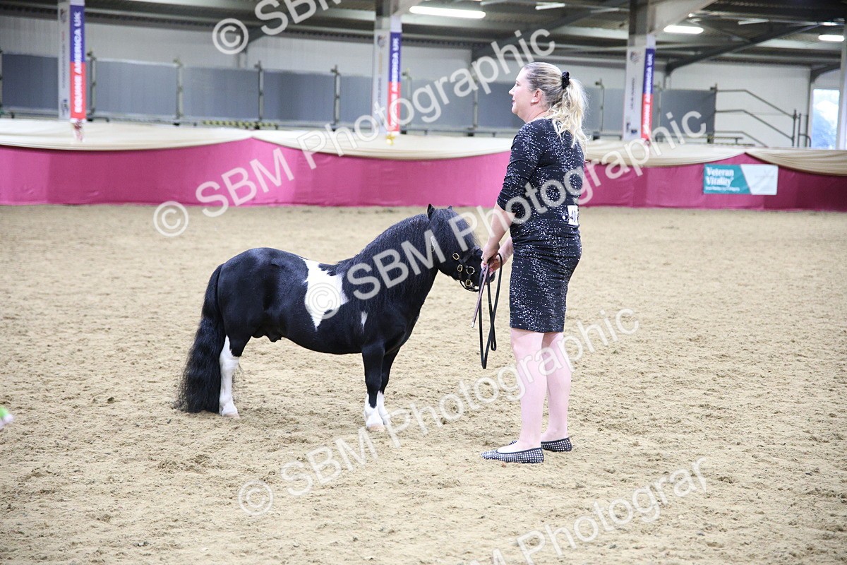 SBM_19265 - Class J Coloured Champ