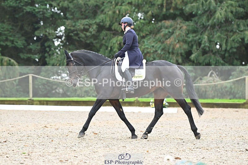 231019-130730-03297 - 121-KNOCKADERRY.MISTY.BAT-Harriet.Dickin-DR