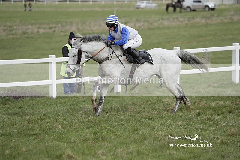 PtP 260323 0407 - New Forest Hounds Point-to-Point Larkhill 26/03/23