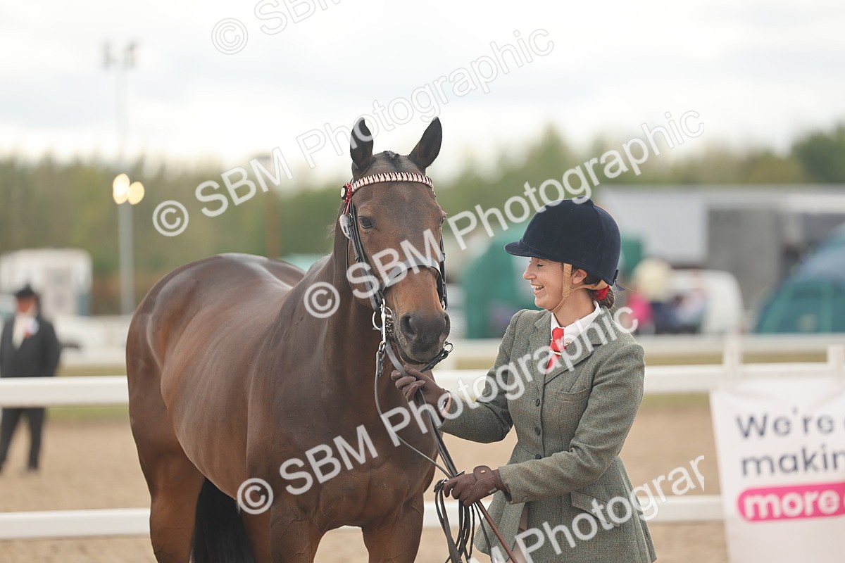 SBM_17129 - Class 313 - IH Retired Racehorse