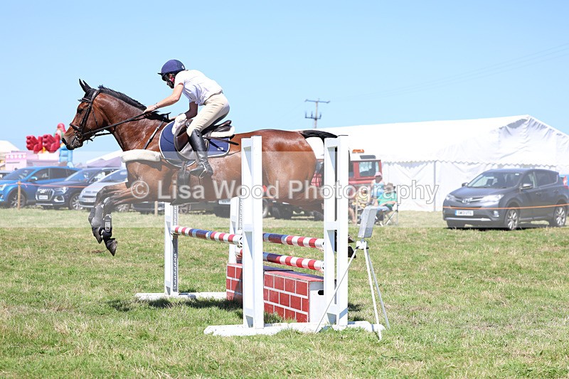 3E7A5495 - Class 9: Senior British Novice/90cm open