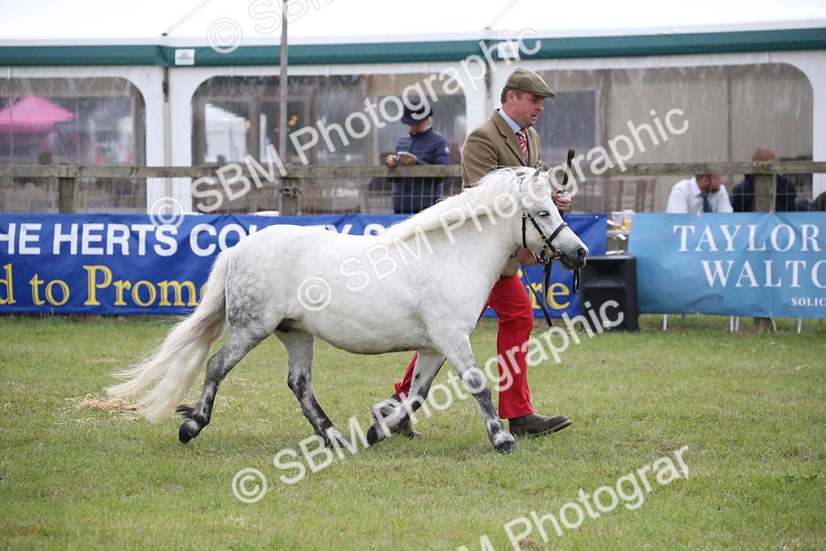 SBM_09823 - Ch 50 - Price Family Supreme In Hand