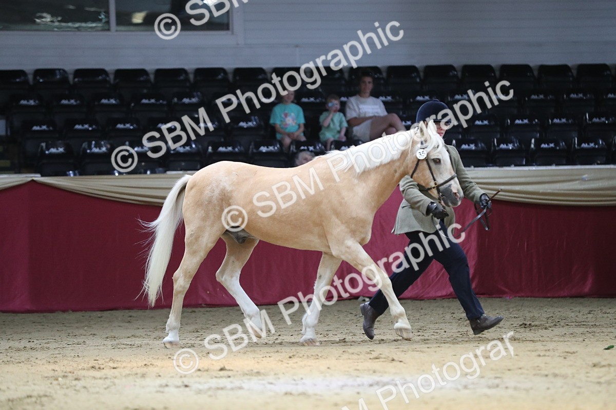 SBM_04388 - Class 7R Regional - IH Diamond