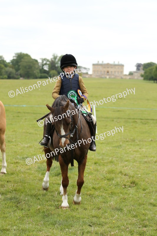 20250517-1223 - Class 21 - Novice Working Hunter