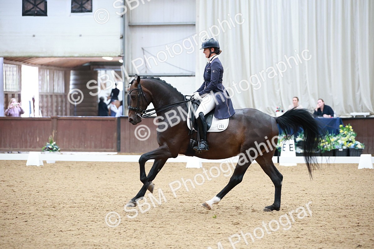 SBM_009523 - Class 13 - FEI PSG - 11.06-12.34