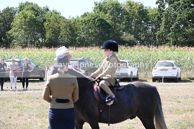 WJ6_7944 - Class 36 Lead Rein