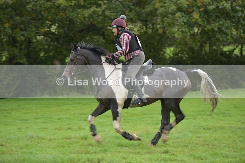 RAY_0318 - Class 4: 80cm: Double of Brushes