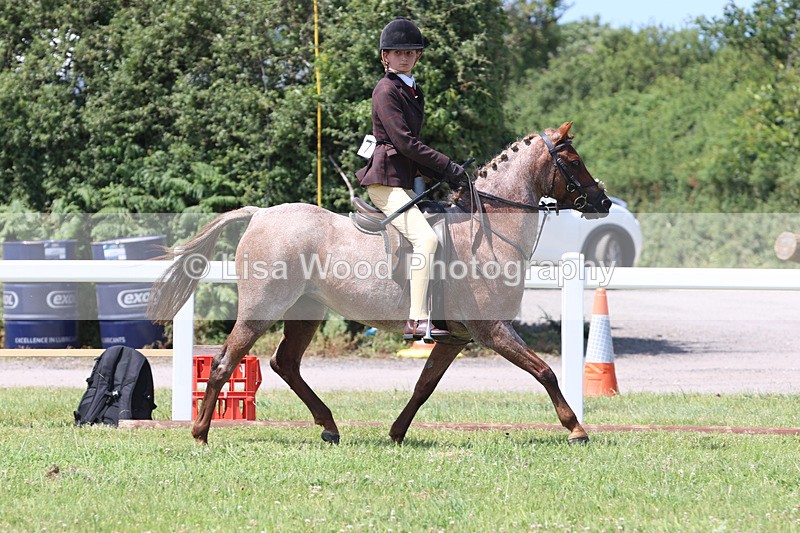 JPP_2709 - Class 21: Working Hunter 60cm