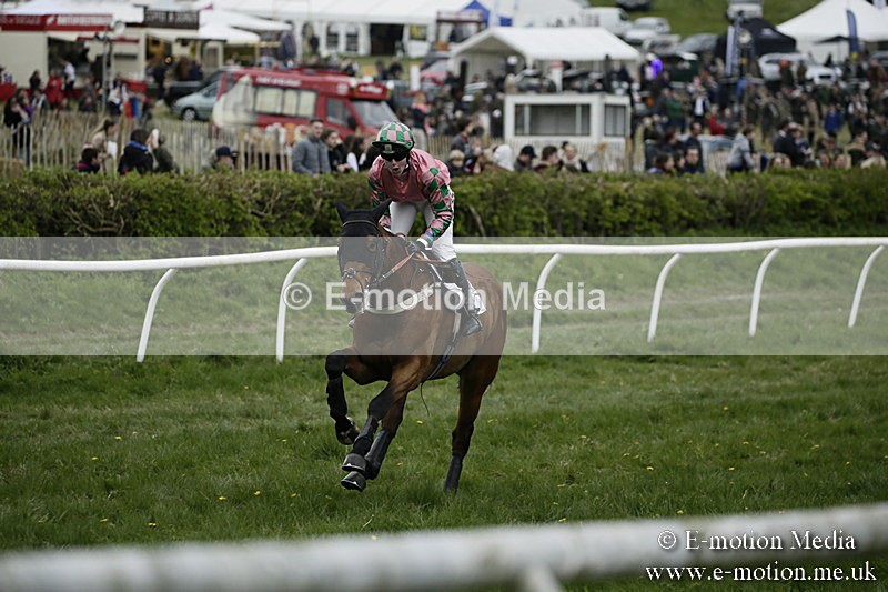 PtP 170417 562 - Old Berks Point-to-Point Lockinge 17/04/17