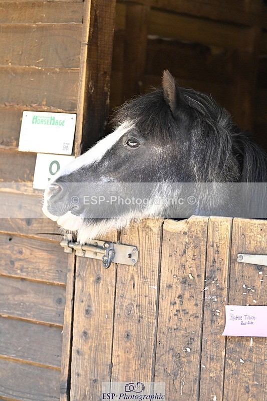 240728B-093621-00070 - Sunday Stable Shots and Fancy Dress