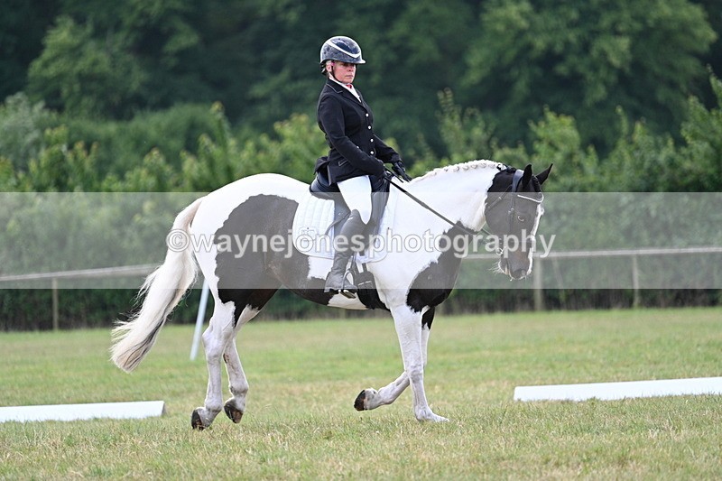 WJ7_5255 - Time 11:22 to 11:51