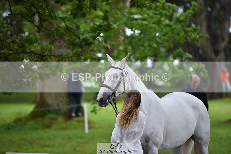 240522-161202-00775 - 160-WESTWOOD_II-Tara_Kay