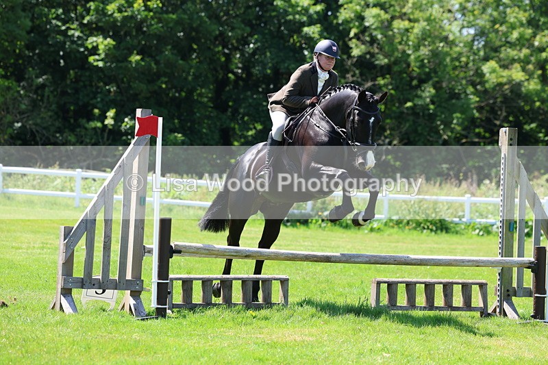 3E7A6996 - Class 30: Novice Working Hunter