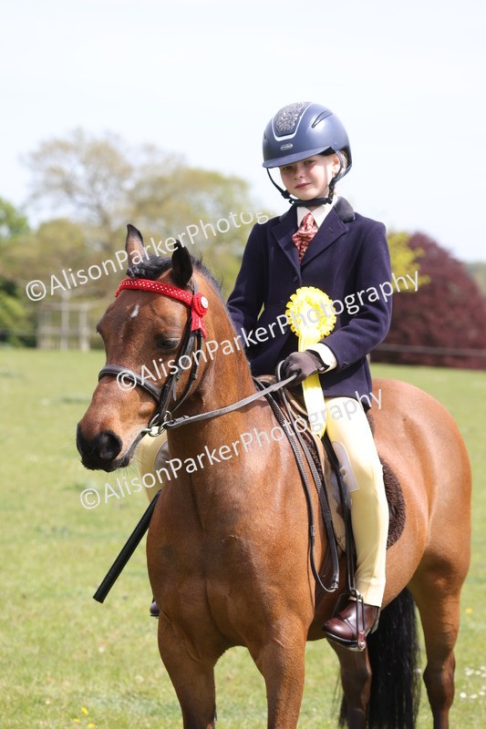 20260426-4018 - Class 33 - Best Pony 14.2hh and Under