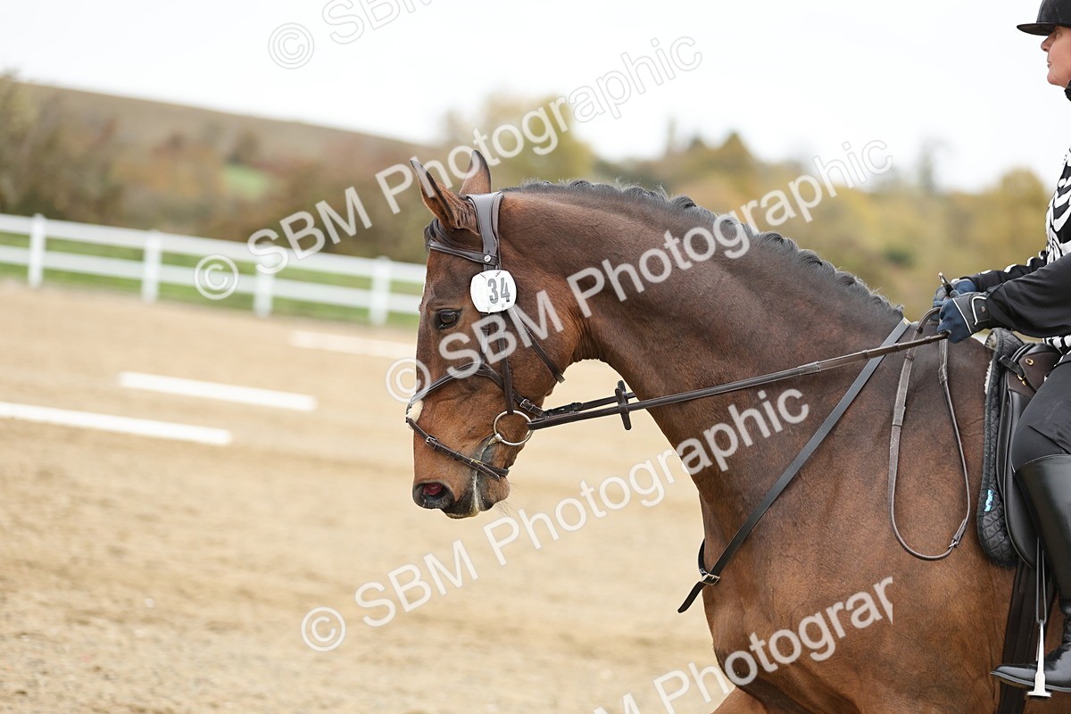 SBM_003913 - Class 9-12 - Novice 2 Elementary 3
